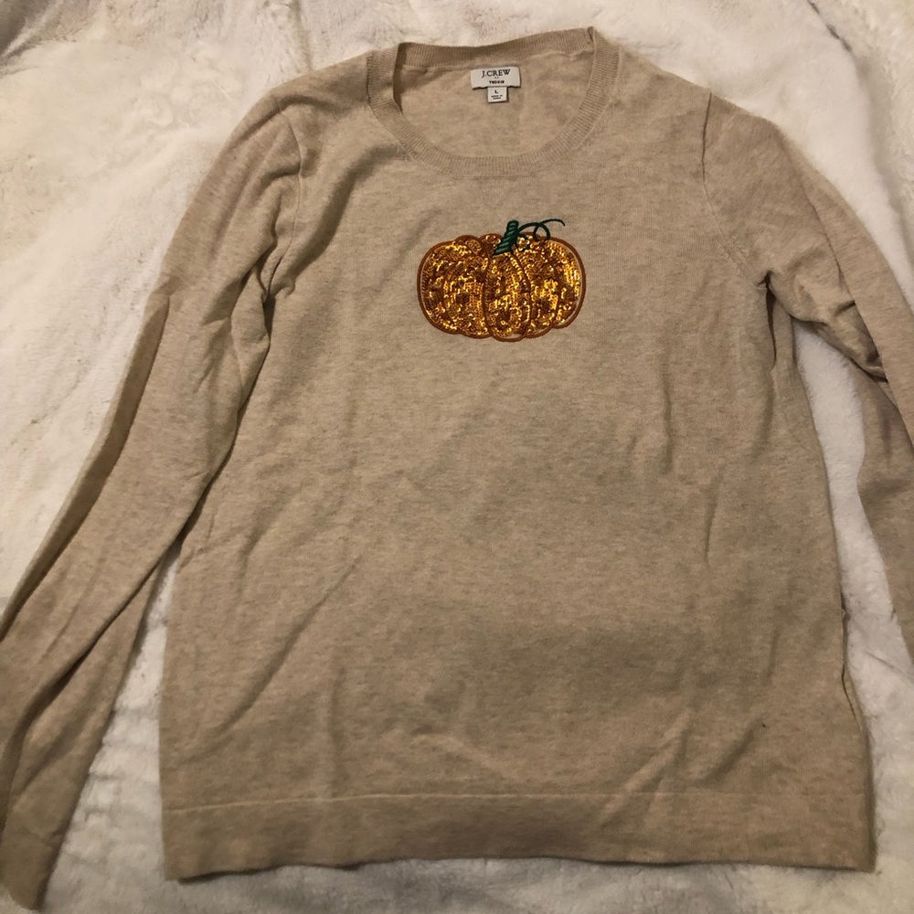 JCrew Fall Sweater